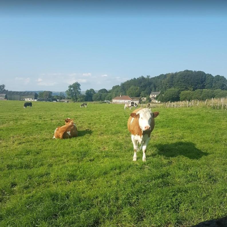 Hotel Hillhead Farm Lets Stirling Esterno foto